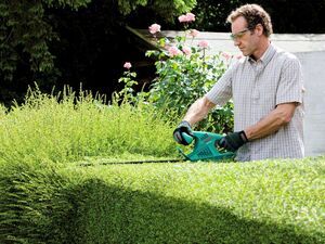 Nůžky na živé ploty Bosch AHS 45-16, 0600847A00