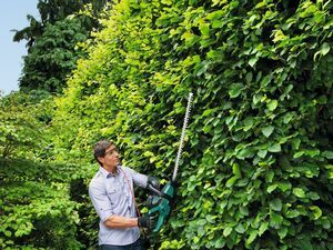 Nůžky na živé ploty Bosch AHS 70-34, 0600847K00