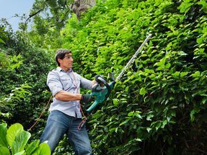 Nůžky na živé ploty Bosch AHS 70-34, 0600847K00