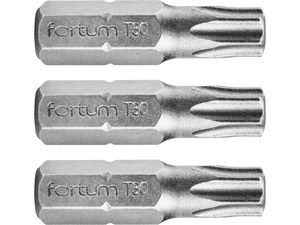 Hrot TORX, sada 3ks, T 30x25mm, S2 FORTUM